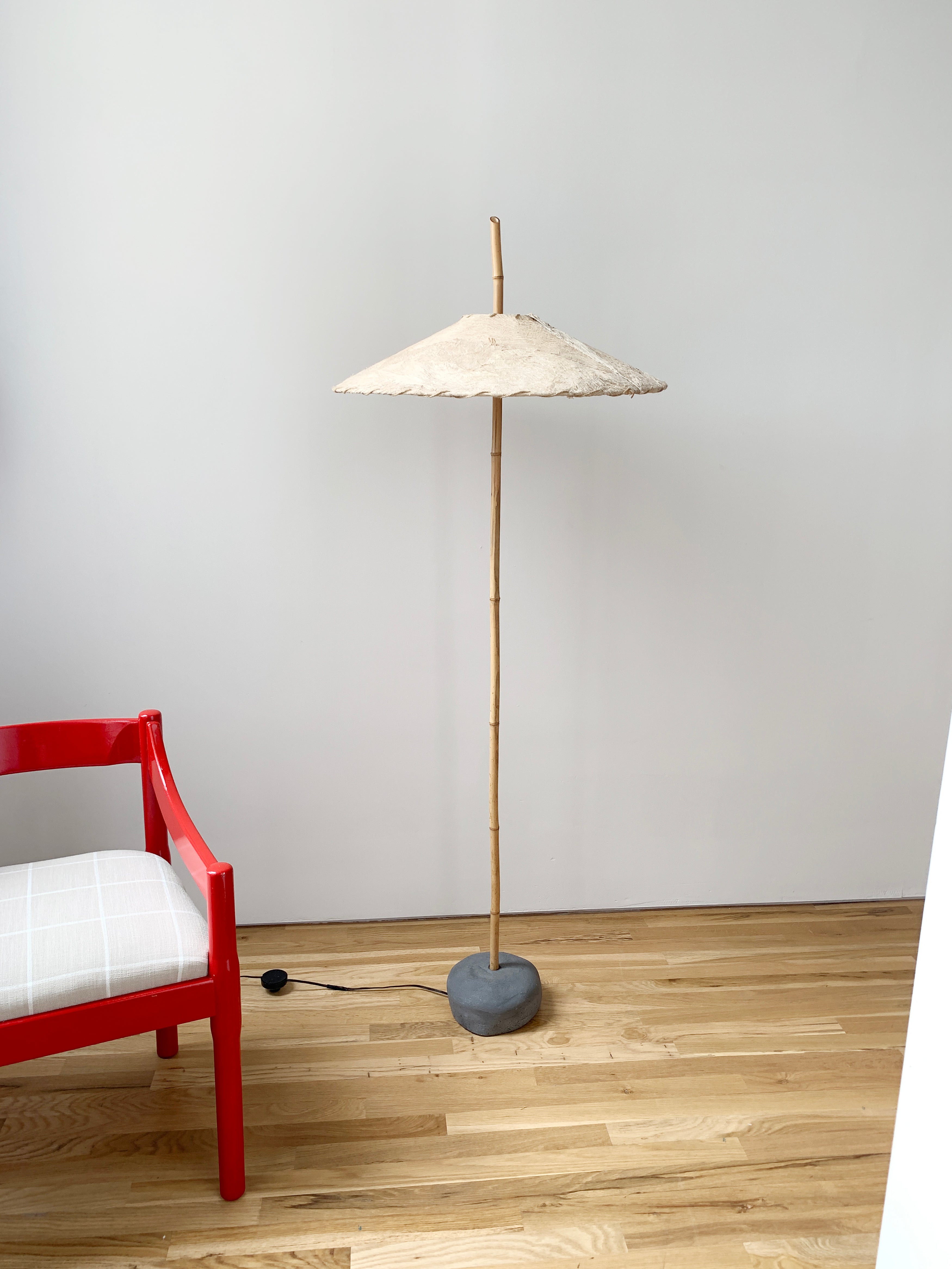 palm.jpg?v=1567017327