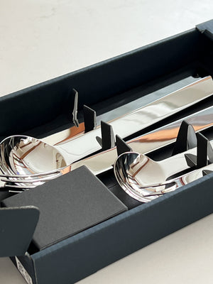 Stainless Steel Flatware 5-Piece Box Set by Japense Designer Takenobu Igarashi