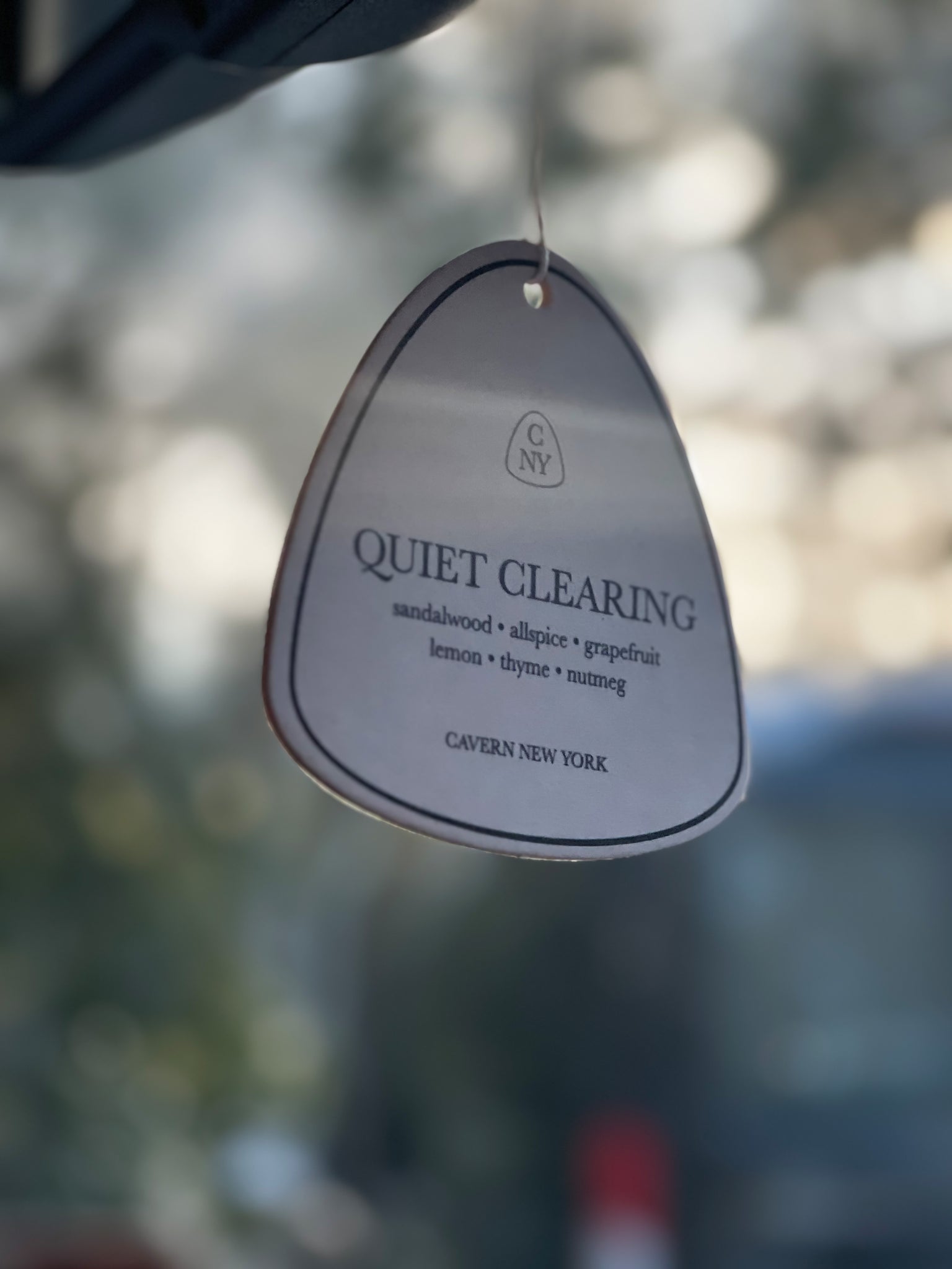 Quiet Clearing Air Freshener by Cavern NY