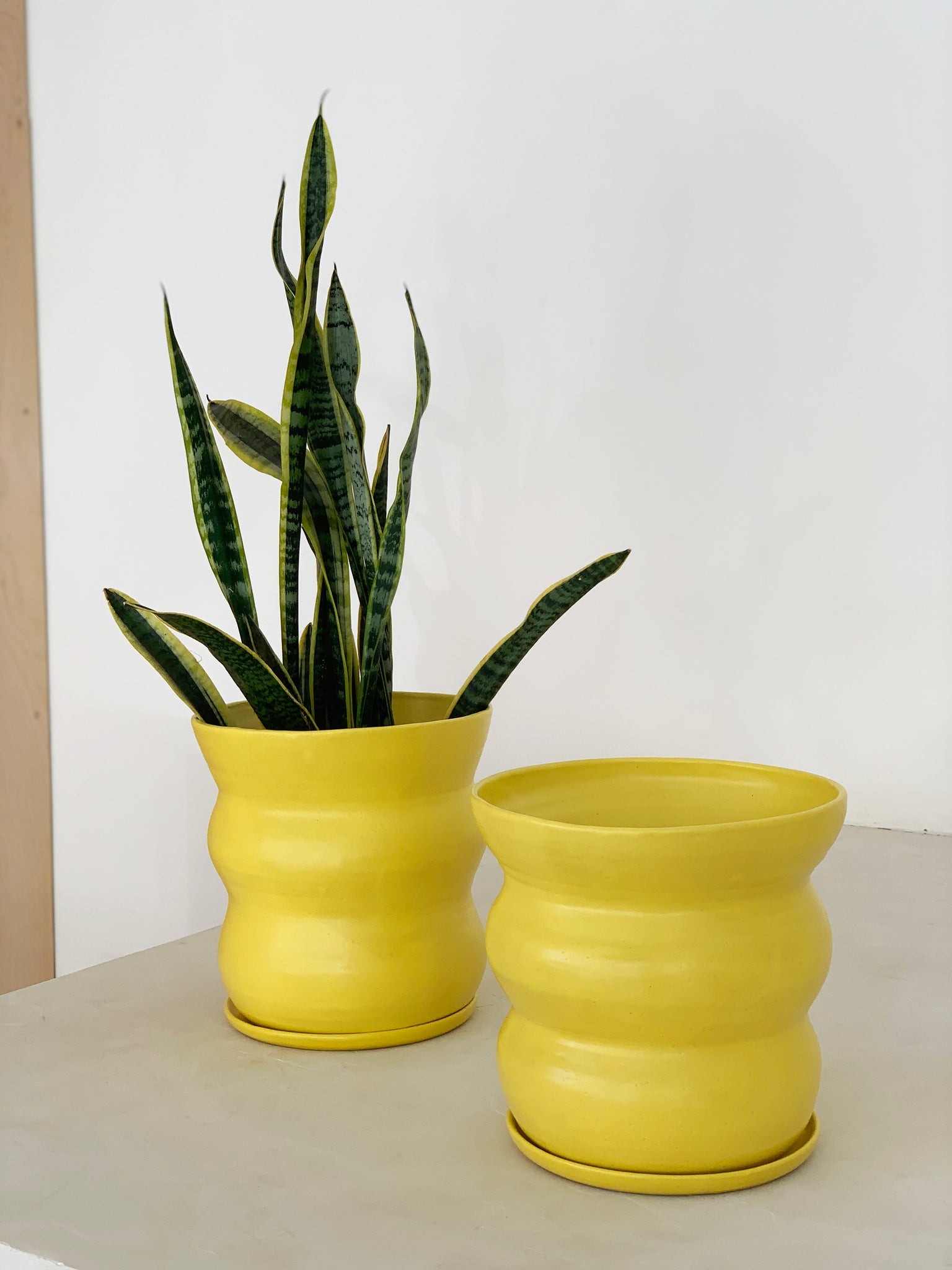 plant pot yellow Handmade Wavy Ceramic Planter